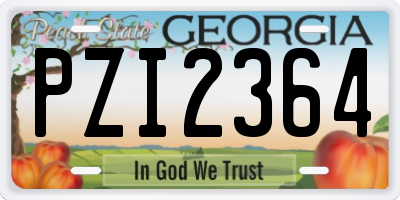 GA license plate PZI2364