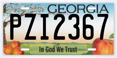 GA license plate PZI2367