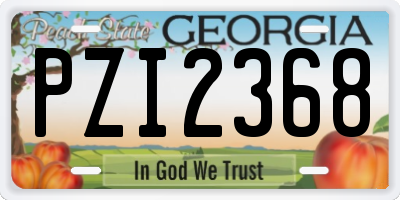 GA license plate PZI2368