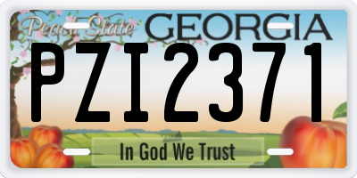 GA license plate PZI2371