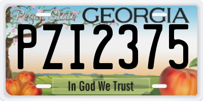 GA license plate PZI2375