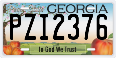 GA license plate PZI2376