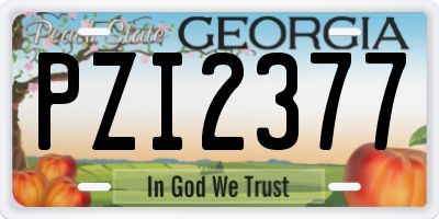 GA license plate PZI2377