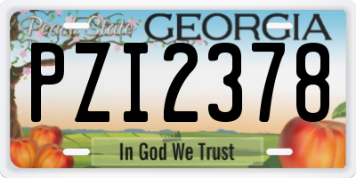 GA license plate PZI2378