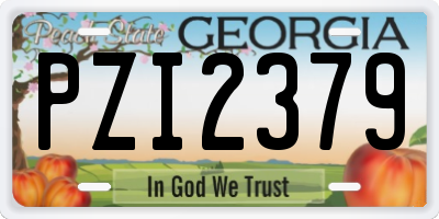 GA license plate PZI2379
