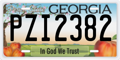 GA license plate PZI2382