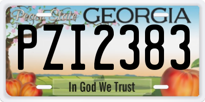 GA license plate PZI2383