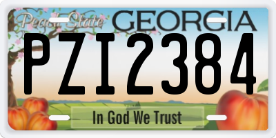 GA license plate PZI2384