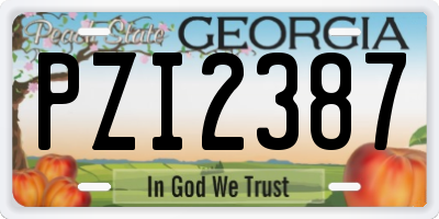 GA license plate PZI2387