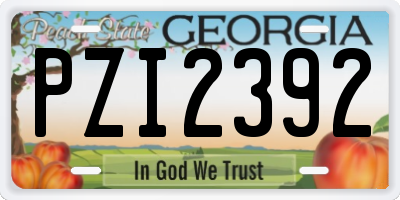 GA license plate PZI2392