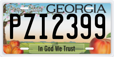GA license plate PZI2399