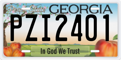GA license plate PZI2401