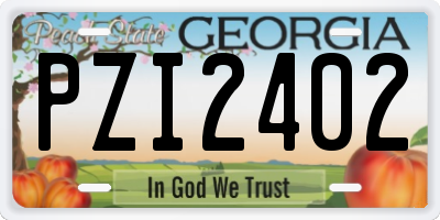 GA license plate PZI2402