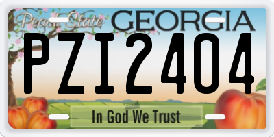 GA license plate PZI2404