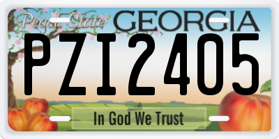 GA license plate PZI2405