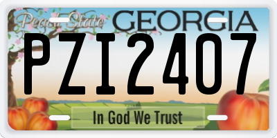 GA license plate PZI2407
