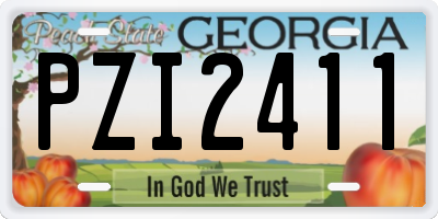 GA license plate PZI2411