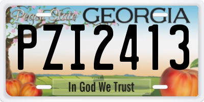 GA license plate PZI2413
