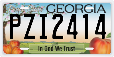 GA license plate PZI2414