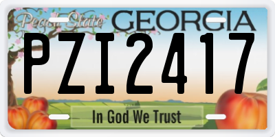 GA license plate PZI2417