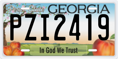 GA license plate PZI2419