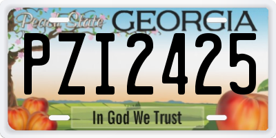 GA license plate PZI2425
