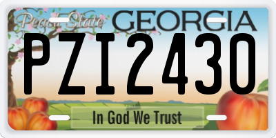 GA license plate PZI2430