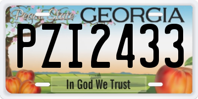GA license plate PZI2433