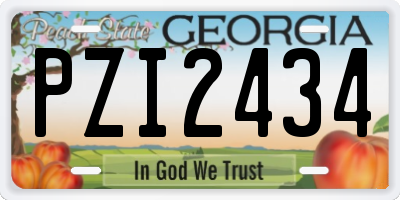 GA license plate PZI2434