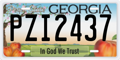 GA license plate PZI2437