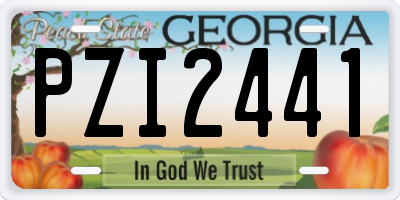GA license plate PZI2441