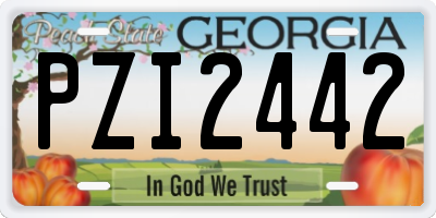 GA license plate PZI2442