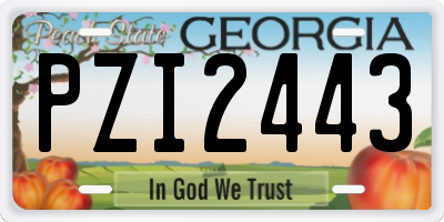 GA license plate PZI2443