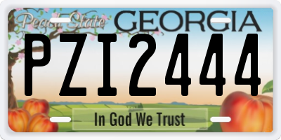 GA license plate PZI2444