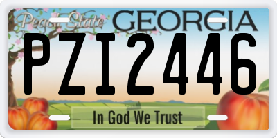 GA license plate PZI2446