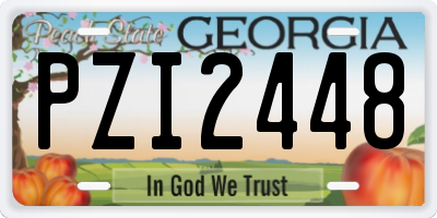 GA license plate PZI2448
