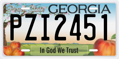 GA license plate PZI2451