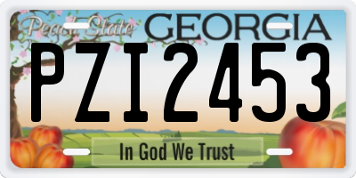 GA license plate PZI2453