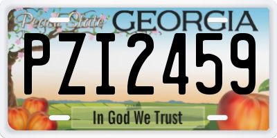 GA license plate PZI2459