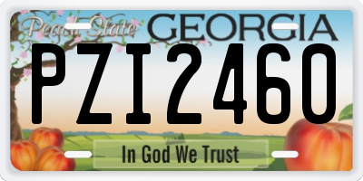 GA license plate PZI2460