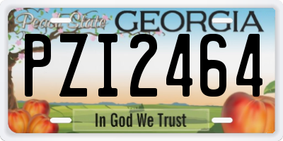 GA license plate PZI2464