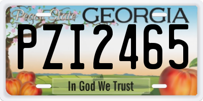 GA license plate PZI2465