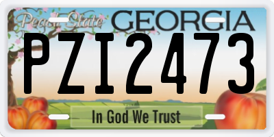 GA license plate PZI2473