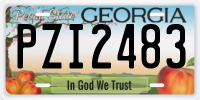 GA license plate PZI2483