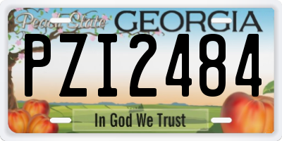 GA license plate PZI2484