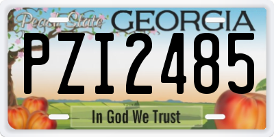 GA license plate PZI2485