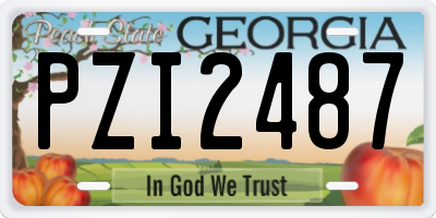 GA license plate PZI2487