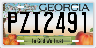 GA license plate PZI2491