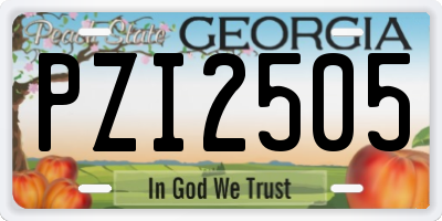 GA license plate PZI2505