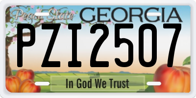 GA license plate PZI2507
